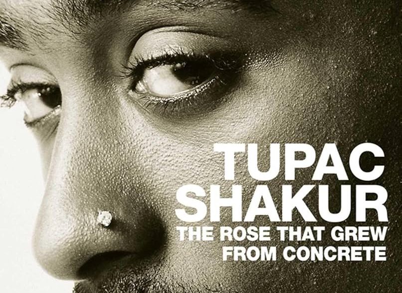 “The Rose That Grew from Concrete”
